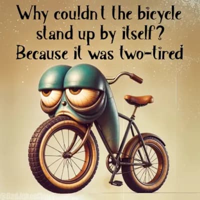 Two-Tired Bike